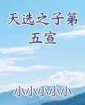 天选之子第五宣