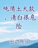 纯情土大款，清白很危险小说全文免费阅读