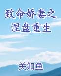致命娇妻之涅盘重生在线阅读