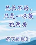 兄长不语，只是一味兼祧两房