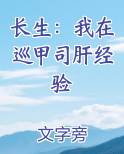 长生：我在巡甲司肝经验