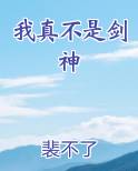 我真不是剑神