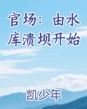 官场：由水库溃坝开始