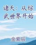 诸天：从综武世界开始