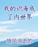 我的识海成了内世界