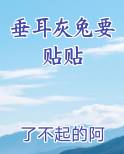 垂耳兔灰白