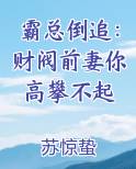 霸总倒追：财阀前妻你高攀不起