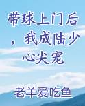 带球上门后，我成陆少心尖宠