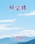 照空镖