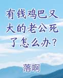 有钱鸡巴又大的老公死了怎么办？电子书