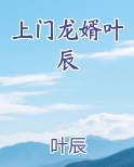 上门龙婿叶辰