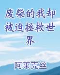 我木废柴