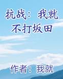 抗战我就不打坂田免费阅读