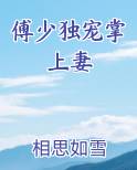 傅少独宠掌上妻