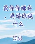 爱你你嫌弃,离婚你跪什么全文免费