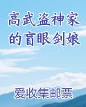高武盗神家的盲眼剑娘