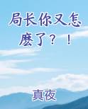 局长你又怎麽了？！小说全文免费阅读