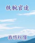 铁腕官途