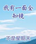我有一面镜子作文600字