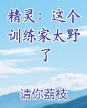 精灵：这个训练家太野了
