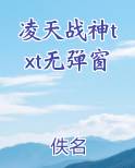 凌天战神txt无弹窗