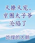 京圈太子爷宠文