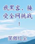 我黑客，接受全网挑战！免费阅读笔趣阁