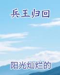 兵王归回
