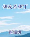 识汝不识丁