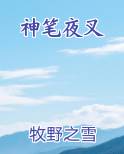 神笔夜叉完整版小说