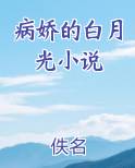 病娇的白月光小说