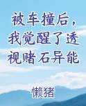 被车撞后，我觉醒了透视赌石异能
