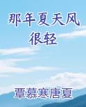 那年夏天的风很甜