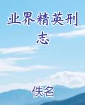 业界精英刑志