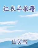 红衣半狼藉小说下载