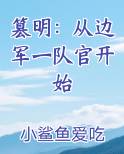 篡明：从边军一队官开始