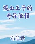 混血王子的奇异征程