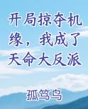 开局掠夺主角气运