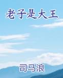 老子是大王小说全文免费阅读