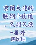 京圈大佬的联姻小玫瑰，又甜又欲+番外