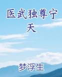 医武独尊宁天