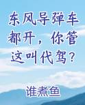 东风导弹车都开,你管这叫代驾?下载