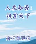 人在知否：执掌天下