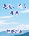 龙魂：同人异象