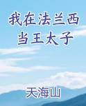 我在法兰西当王太子