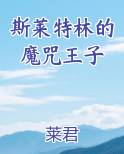 斯莱特林的魔咒王子