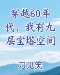 穿越60年代，我有九层宝塔空间